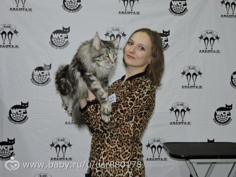 Вот такие мы, лягушки-путешествинницы)