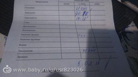 Анализы для эко