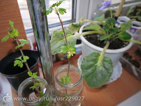 Марафон &quot;Радужная весна&quot;.День 6-й. https://www.baby.ru/user/blog/187289210/