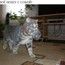Юлия Вассиярова Юлия Вассиярова