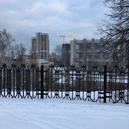 День 42 из 365 День 42 из 365