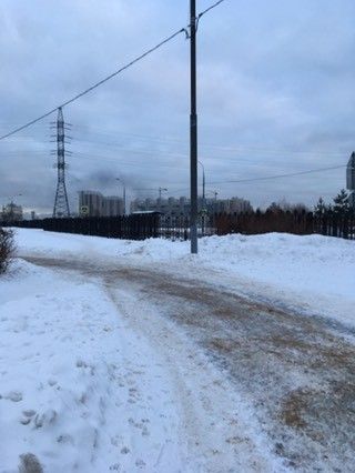 День 42 из 365 День 42 из 365