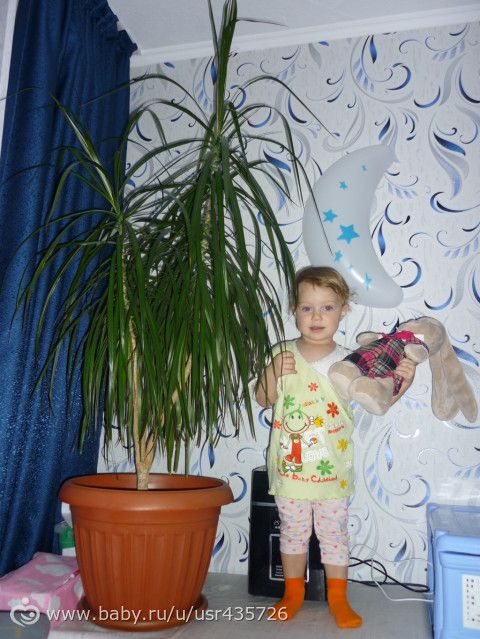 Радуют меня мои красавицы