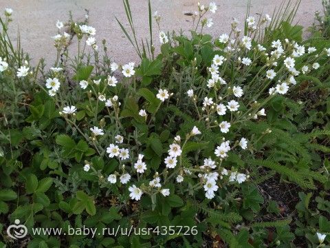 Наш майский отдых в Баянауле (не путать с Барнаулом)