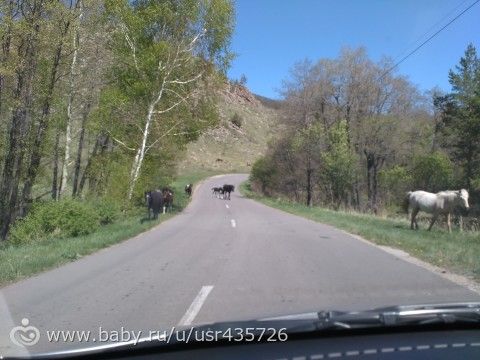 Наш майский отдых в Баянауле (не путать с Барнаулом)