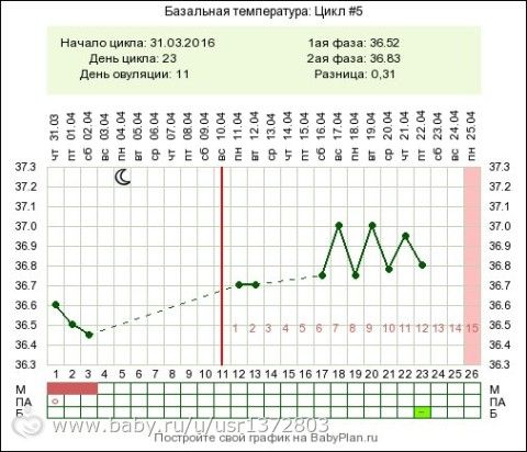 Ооочень красивая вторая фаза