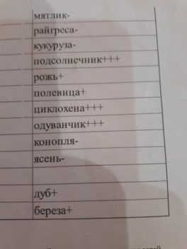 аллергия на пыльцовые. кто сталкивался,зайдите. аллергия на пыльцовые. кто сталкивался,зайдите.