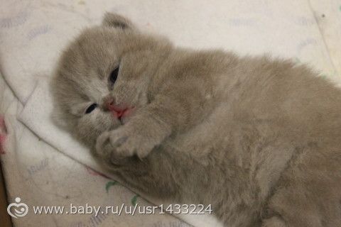 Вот мы и подросли))