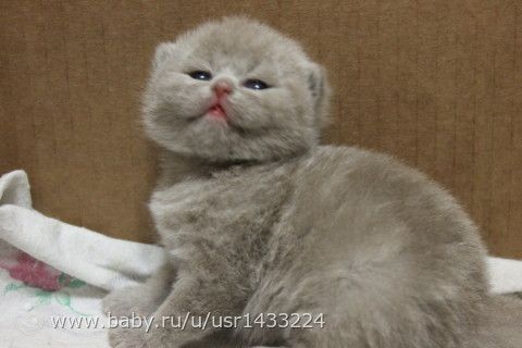 Вот мы и подросли))