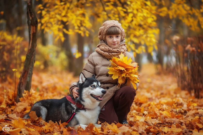 Мини фотопроект с хаски) Фотопост.