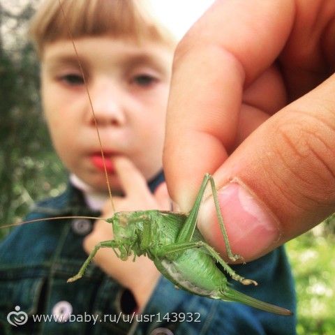 Вот мы сегодня ерундой страдали