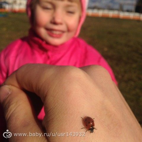 Немного текста и много фото