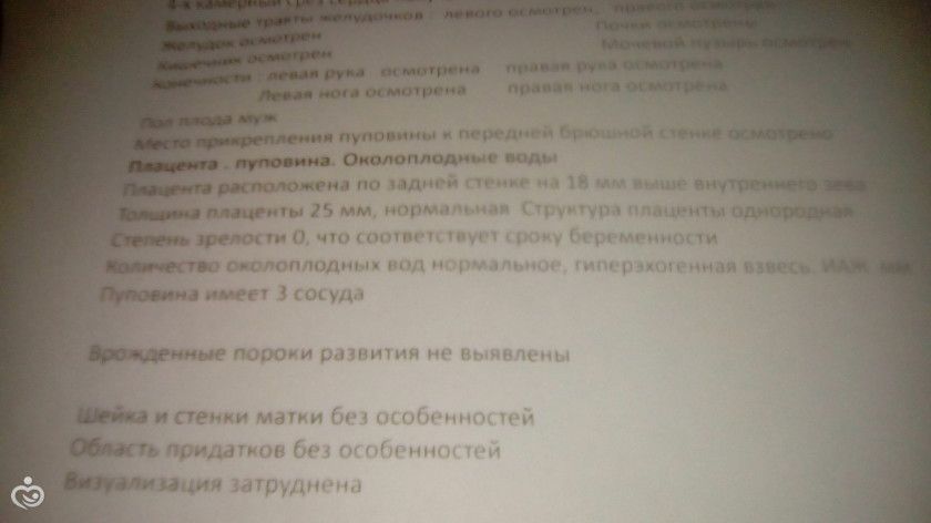 Мои 17 недель