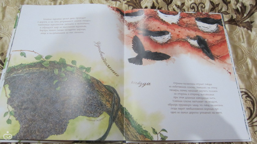 2-9 cентября 2016 г/ новые книги