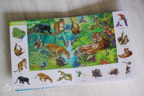 Наша книжки!!! обзор с фото))))