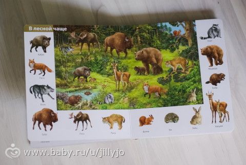 Наша книжки!!! обзор с фото))))