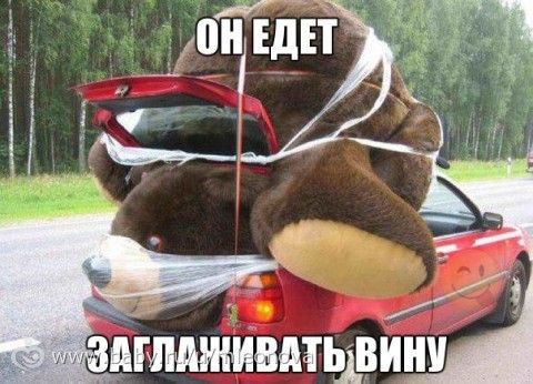 Может, подкинете идей? Что подарить?